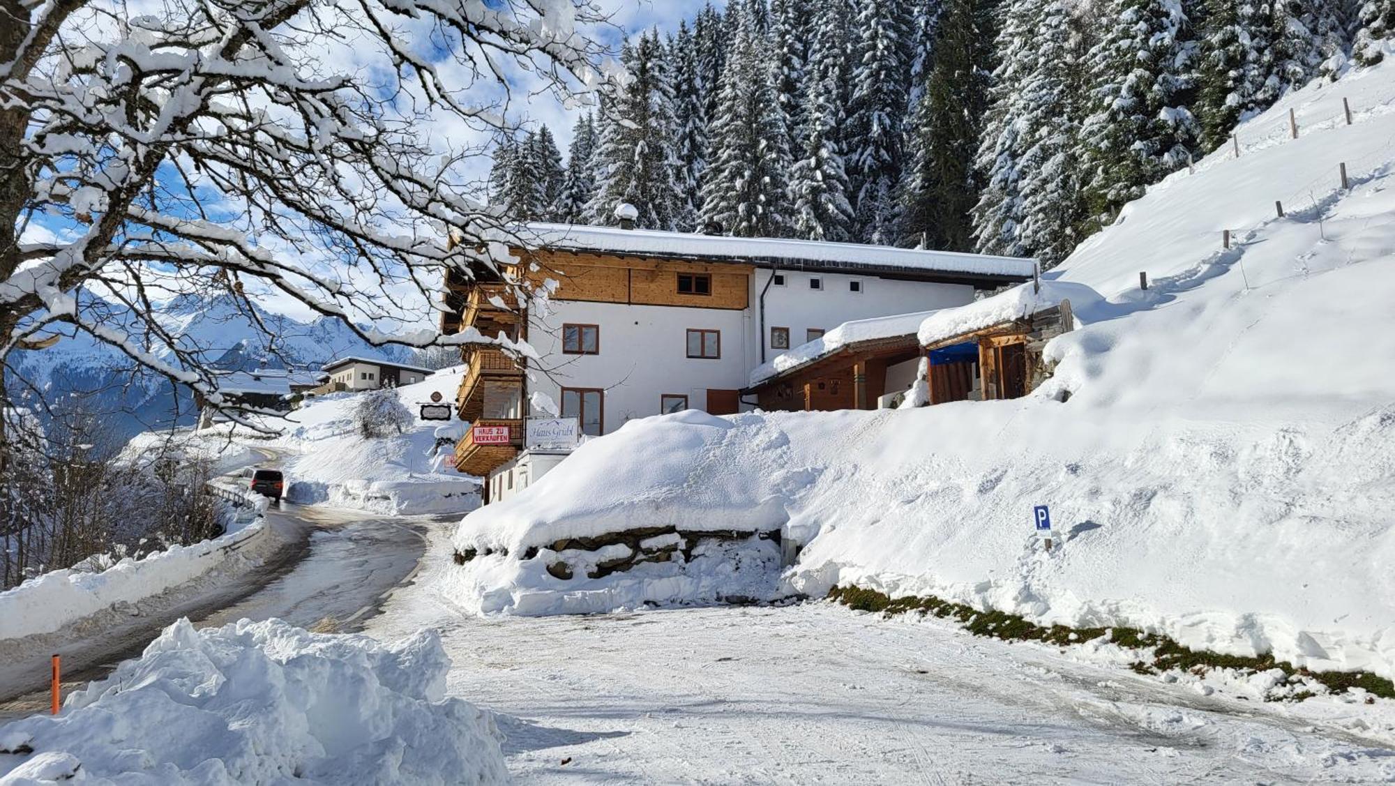 Aparthotel Haus Gruebl Wald im Pinzgau Zewnętrze zdjęcie